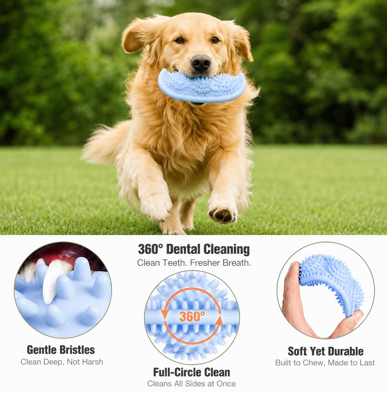 FurPop™ Bite-Resistant Chew Ball
