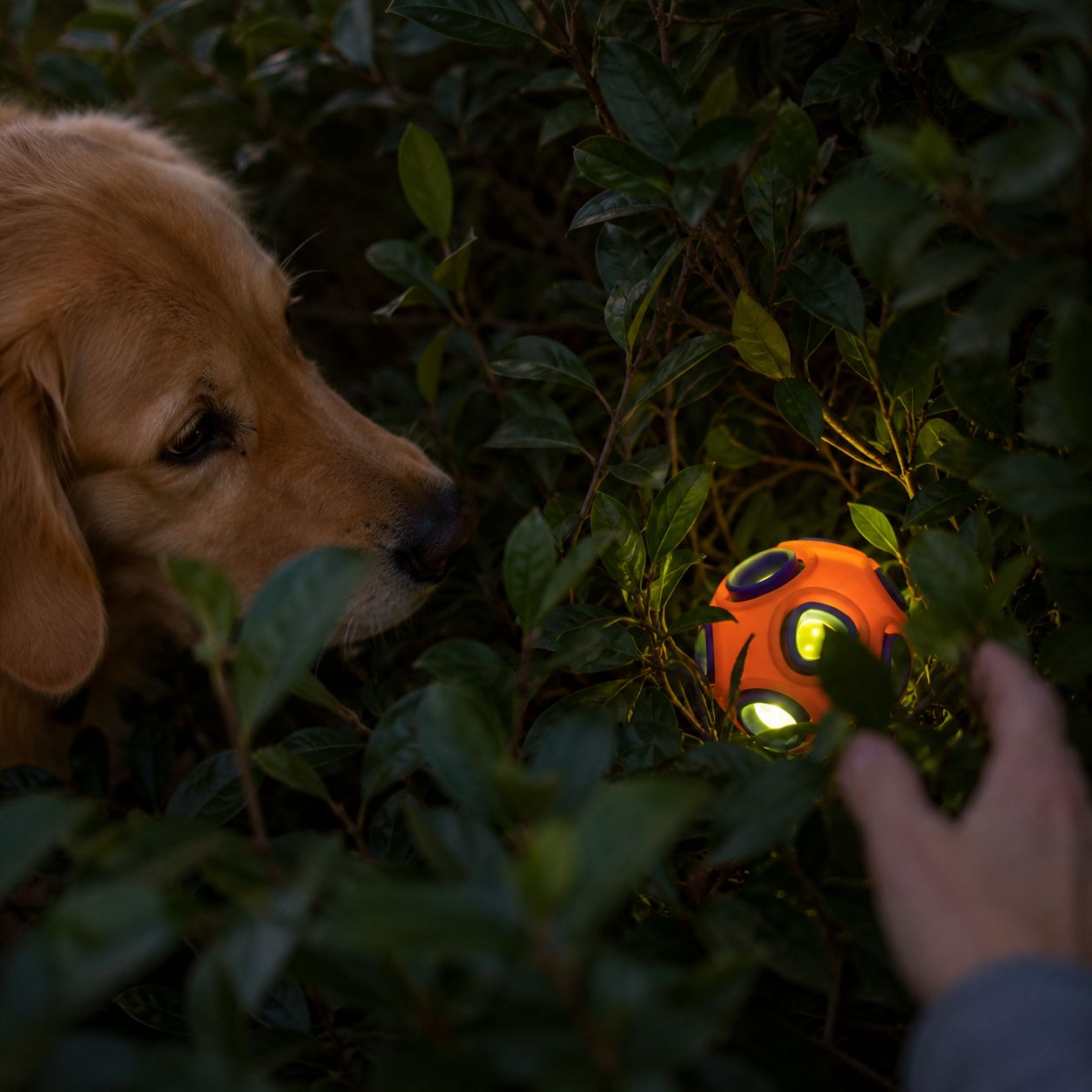 FurPop™ Glow-in-the-Dark Chew Ball