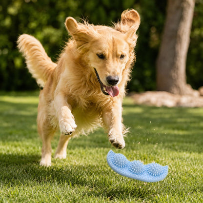 FurPop™ Bite-Resistant Chew Ball