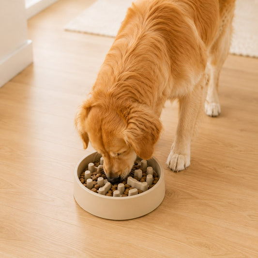 FurPop™ Stainless Steel Slow Feeding Bowl - Healthier Mealtimes for Your Dog